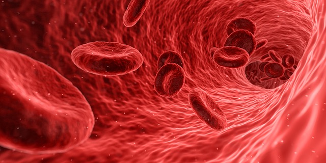 Image blood and red blood cells