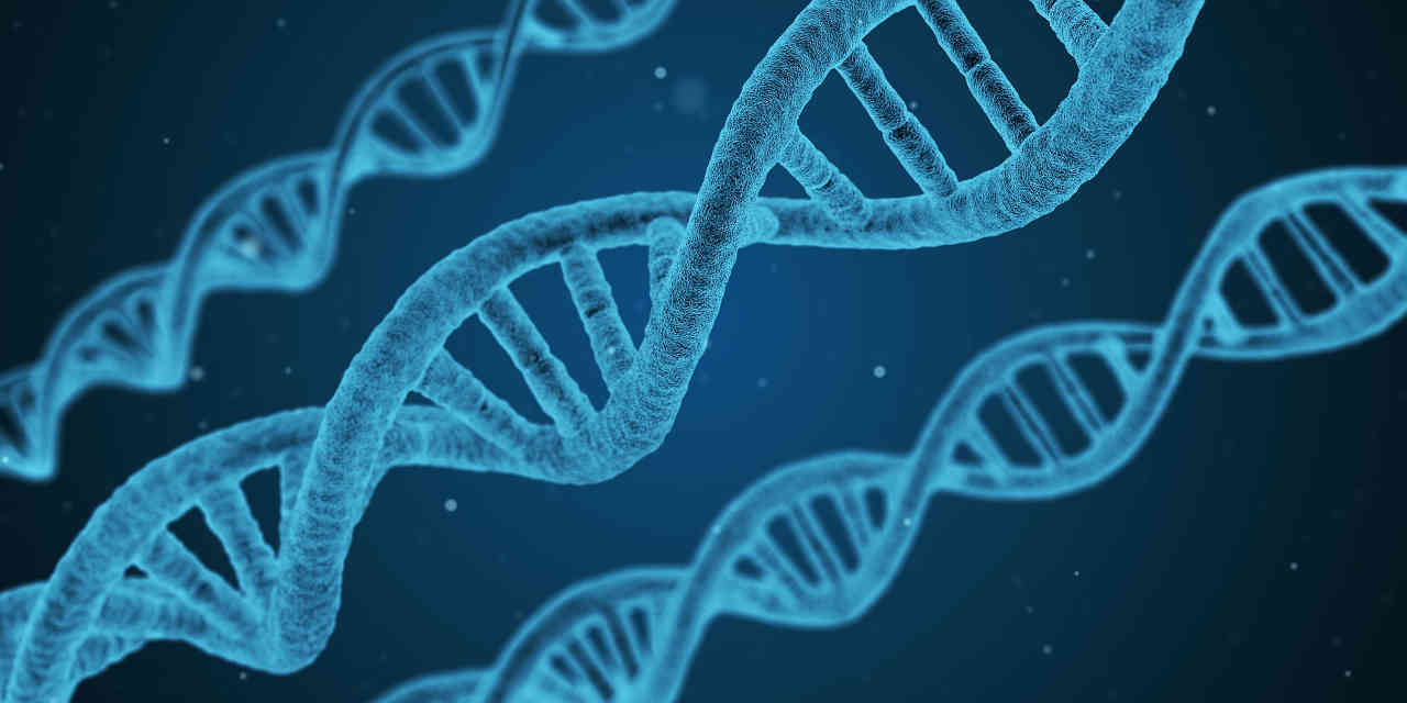 Image of DNA