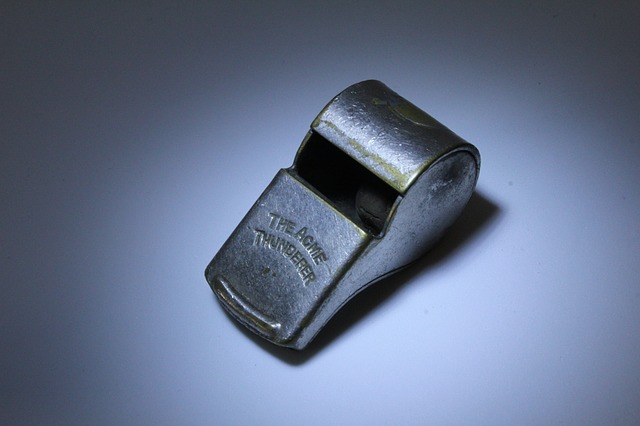 Image of whistle